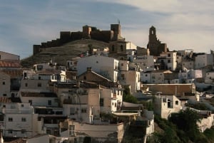 Malaga : visite du village blanc, du vignoble et dégustation de vin