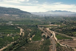 Malaga: Vintur | Hvid landsby, vingård og vinsmagning