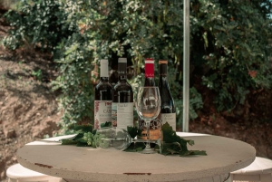 Malaga: Vintur | Hvid landsby, vingård og vinsmagning