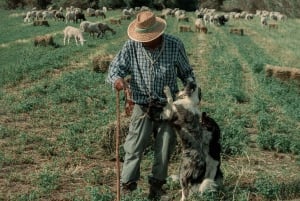 Malaga: Vintur | hvit landsby, vingård og vinsmaking