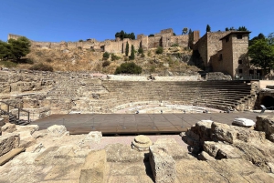 Centre historique de Malaga : visite autoguidée créée par un guide officiel local