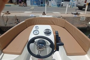Marbella: noleggio barche senza patente per avvistamento delfini
