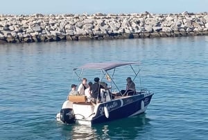 Marbella: noleggio barche senza patente per avvistamento delfini