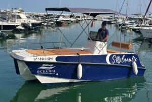 Marbella: noleggio barche senza patente per avvistamento delfini