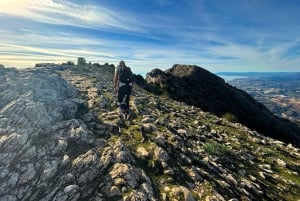 Marbella: Kiipeä La Conchan huipulle – opastettu vaellus kuljetuksella