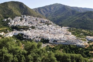 Marbella - Estepona: Jeep Eco Tour - L'autentica Andalusia