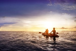 Marbella: Kayak Tour