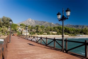 Marbella, Mijas and Puerto Banús Full-Day Sightseeing Tour