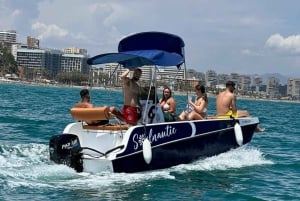 Rent a private boat without a license for dolphin watching