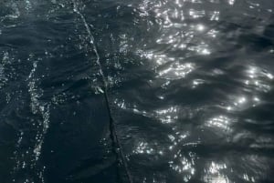 Marbella: Private Boat Rental with Skipper and Banana 2-8hrs