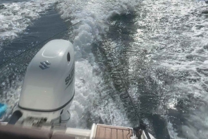 Marbella: Private Boat Rental with Skipper and Banana 2-8hrs