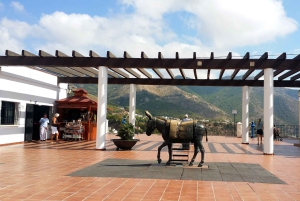Mijas: Group walking tour
