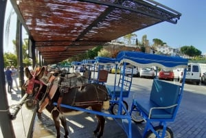 Mijas: Private Walking Tour