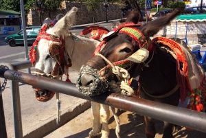 Mijas: Private Walking Tour