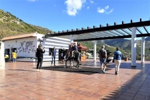 Mijas: Private Walking Tour