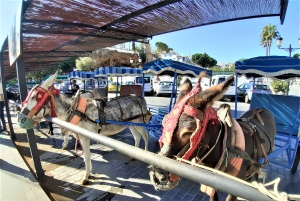 Mijas Pueblo: Private trip from Costa del Sol