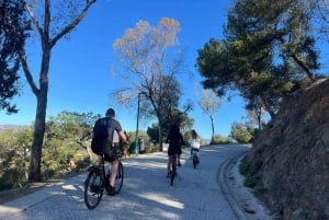 Mountain Electric Bike Rental in Malaga