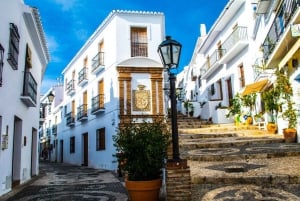 Malaga: Frigiliana and Nerja Day Trip with Wine and Tapas