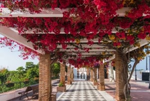 Malaga: escursione a Frigiliana e Nerja con vino e tapas