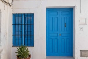 Nerja, Frigiliana e El Acebuchal: tour semi-privato di un giorno intero