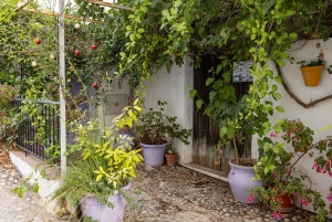 Nerja, Frigiliana e El Acebuchal: tour semi-privato di un giorno intero