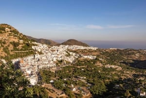 Nerja, Frigiliana e El Acebuchal: tour semi-privato di un giorno intero