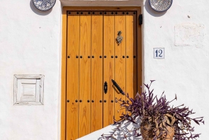 Nerja, Frigiliana e El Acebuchal: tour semi-privato di un giorno intero