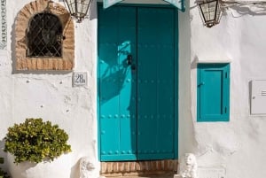 Nerja, Frigiliana e El Acebuchal: tour semi-privato di un giorno intero