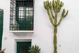 Nerja, Frigiliana e El Acebuchal: tour semi-privato di un giorno intero