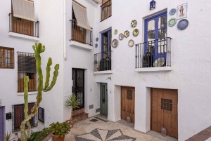 Nerja, Frigiliana e El Acebuchal: tour semi-privato di un giorno intero