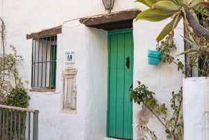 Nerja, Frigiliana e El Acebuchal: tour semi-privato di un giorno intero