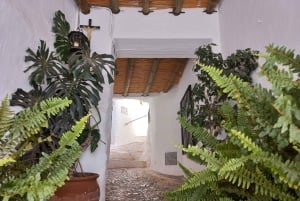 Nerja, Frigiliana e El Acebuchal: tour semi-privato di un giorno intero