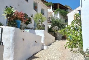 Nerja, Frigiliana e El Acebuchal: tour semi-privato di un giorno intero