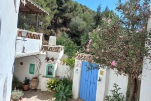 Nerja, Frigiliana e El Acebuchal: tour semi-privato di un giorno intero