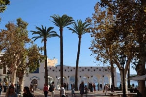 Nerja, Frigiliana e El Acebuchal: tour semi-privato di un giorno intero