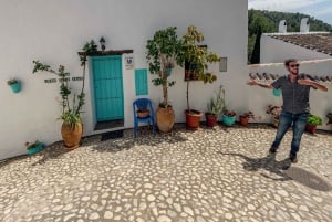 Nerja, Frigiliana e El Acebuchal: tour semi-privato di un giorno intero