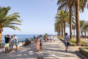 Nerja, Frigiliana & El Acebuchal: Full-Day Semi-Private Tour