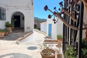 Nerja, Frigiliana & El Acebuchal: Full-Day Semi-Private Tour