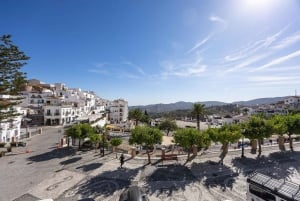 Nerja, Frigiliana & El Acebuchal: Full-Day Semi-Private Tour