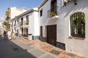 Nerja, Frigiliana & El Acebuchal: Full-Day Semi-Private Tour