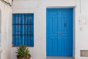 Nerja, Frigiliana & El Acebuchal: Full-Day Semi-Private Tour