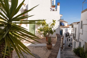 Nerja, Frigiliana & El Acebuchal: Full-Day Semi-Private Tour