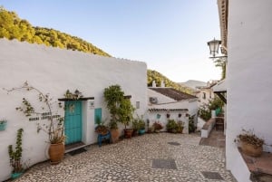 Nerja, Frigiliana & El Acebuchal: Full-Day Semi-Private Tour