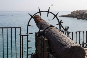 Nerja, Frigiliana & El Acebuchal: Full-Day Semi-Private Tour