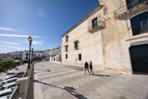 Nerja, Frigiliana & El Acebuchal: Full-Day Semi-Private Tour