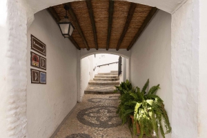 Nerja, Frigiliana & El Acebuchal: Full-Day Semi-Private Tour