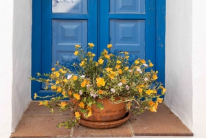 Nerja, Frigiliana & El Acebuchal: Full-Day Semi-Private Tour