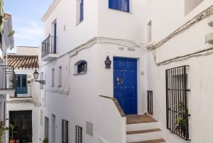 Nerja, Frigiliana & El Acebuchal: Full-Day Semi-Private Tour