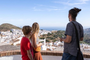 Nerja, Frigiliana & El Acebuchal: Full-Day Semi-Private Tour