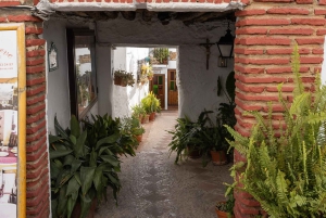 Nerja, Frigiliana & El Acebuchal: Full-Day Semi-Private Tour